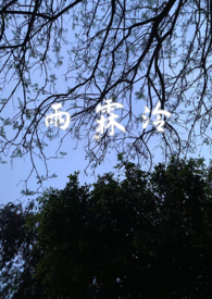 雨霖泠（sc,强制爱,前世今生）